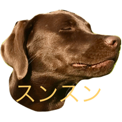 san stamp2