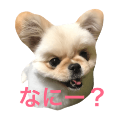 BONNTENNMARU