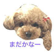 HANA!!!