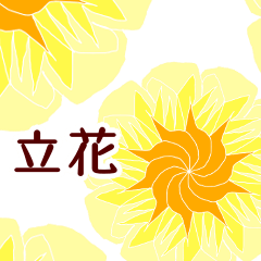 Tachibana and Flower