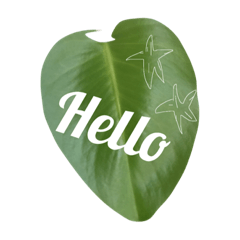 モンステラ 英語の手紙 Line スタンプ Line Store