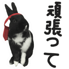 黒いウサギは Oreです2 日本版 Line スタンプ Line Store 黒いウサギは Oreです2 日本版 Line スタンプ Line Store
