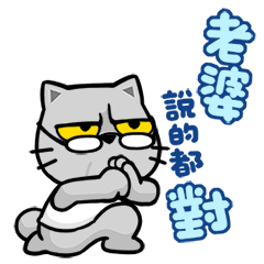 貓爪抓【老爸專用抓】
