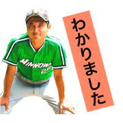 my baseball team part5