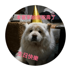 糯米腸的100種生活
