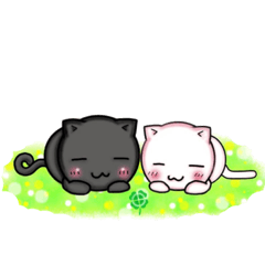 黒猫と白猫の日常