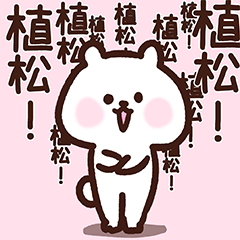 Uematsu cute white bear