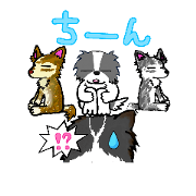 4wanko5