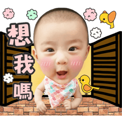 阿鯨魚日記❤️