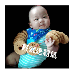 底迪底加