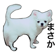 puppy dog bam