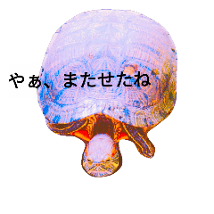 kamenonitizyou