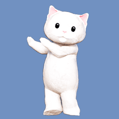 Dancing white cat