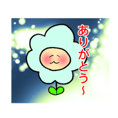 ohanacchi3