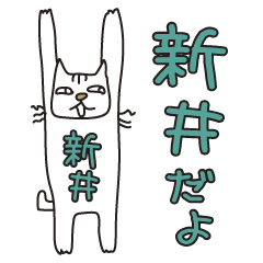 Only for Mr. Arai Banzai Cat