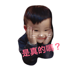 胖恩霺姊の日常