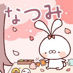 A dusty rabbit No.6 Natsumi (spring)
