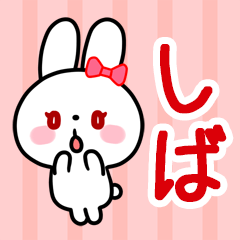 The white rabbit with ribbon "Shiba"
