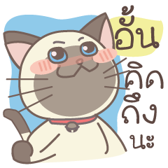 Siamese Cat : Aun