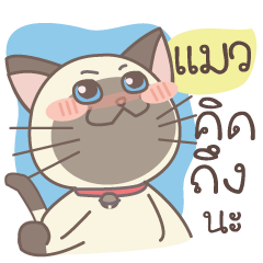Siamese Cat : Maw