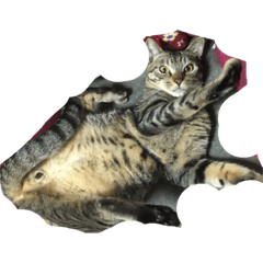 mitokuro