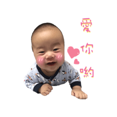 鮮肉軒軒的日常生活用語篇
