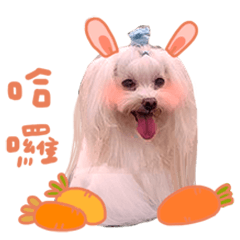 JERRY YU