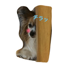 mohu-mohu