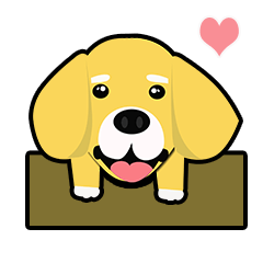 MOMO 黃金獵犬 第二彈