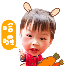 JOY LEE動態貼圖