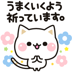 Cat to concern (Honorific & support)