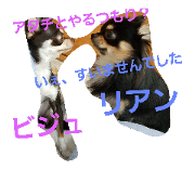 MyDogCuteStamp2