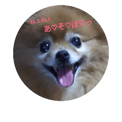 Mood of the Pom 2