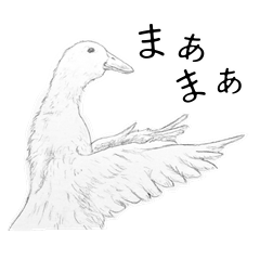 Stickers of animal's funny comment(JPN)