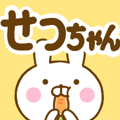 せつちゃん が使う名前スタンプ Line スタンプ Line Store