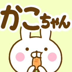 Rabbit Usahina kakochan