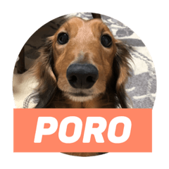 porosutanpurin2