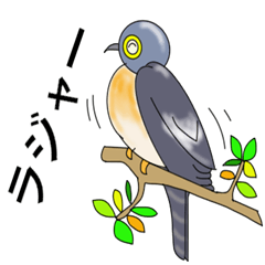 Bird watcher conversation part3