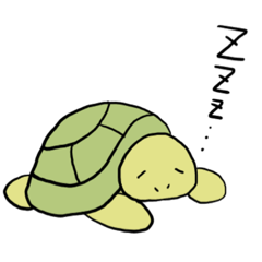 Daily life of tortoise 1