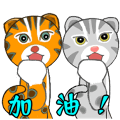 Cheering of Taiwan_Leopard_cat