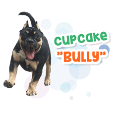 Cupcake Bully