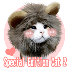 Special Edition - Cat 2
