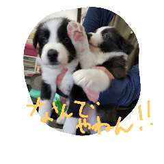 KUKU!!2