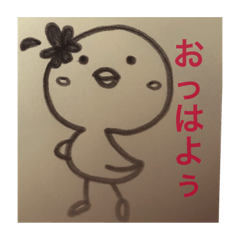 Every day of the chick