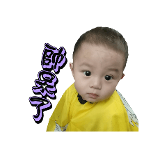 三寶們的日常生活