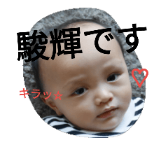 SHUNKI STAMP