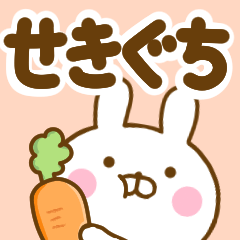 Rabbit Usahina sekiguchi