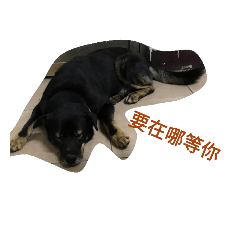 dog speaked