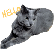 henry(prototype)