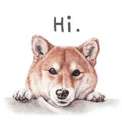 Dog Art Stickers by Momoji(English ver.)